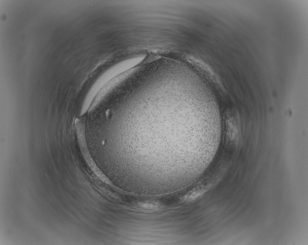 X0000083580308200702231702