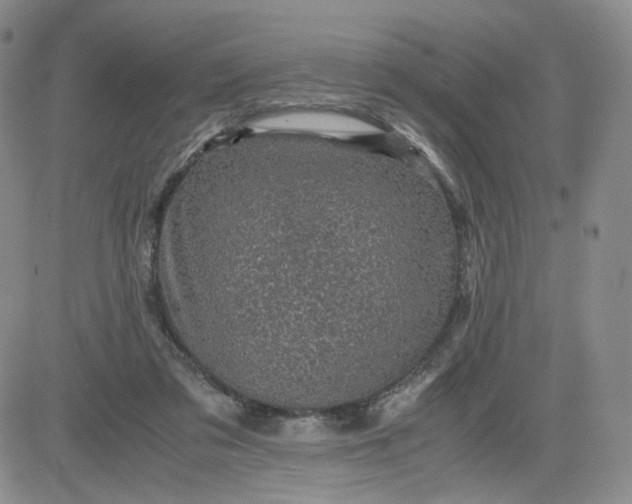 X0000083580309200702231702