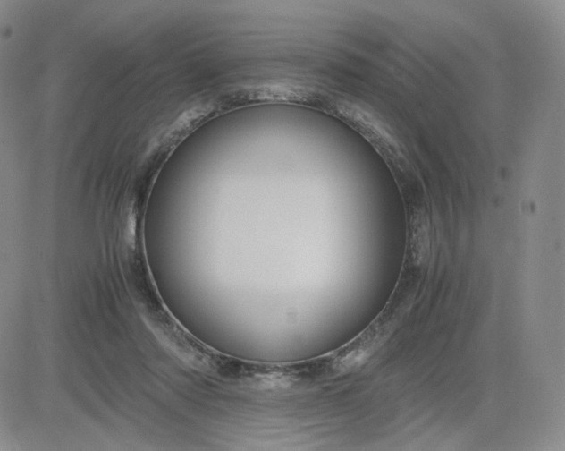 X0000083580310200702231702