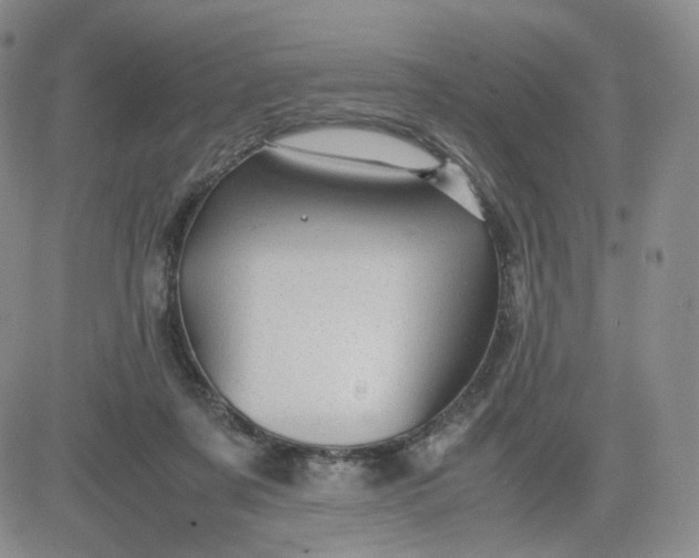 X0000083580311200702231702