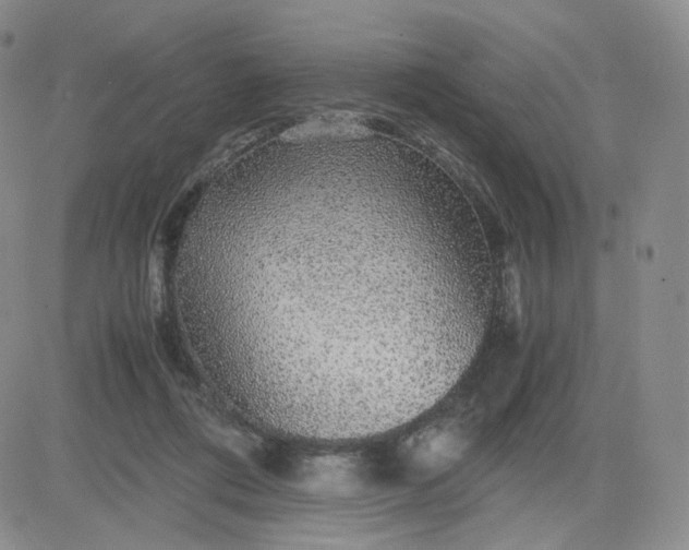 X0000083580312200702231702