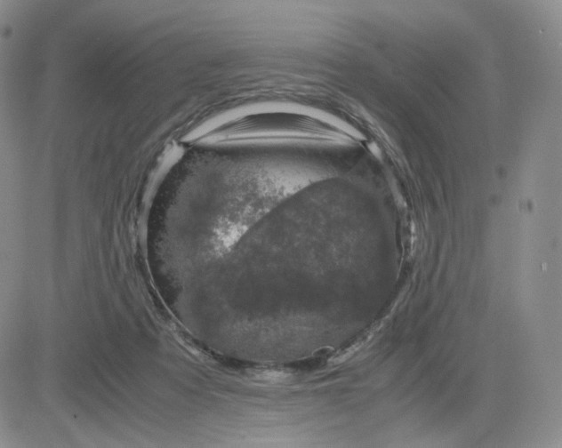 X0000083580313200702231702