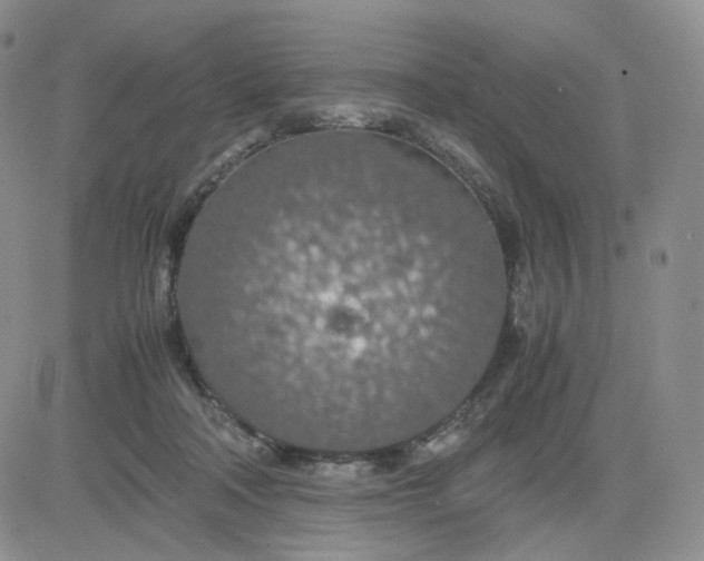 X0000083580314200702231702