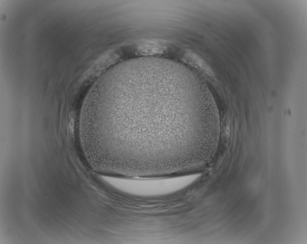 X0000083580315200702231702