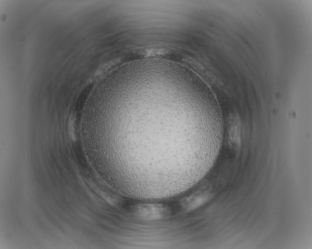 X0000083580316200702231702