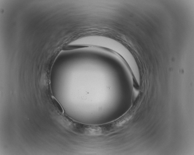 X0000083580317200702231702