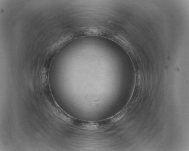 X0000083580318200702231702