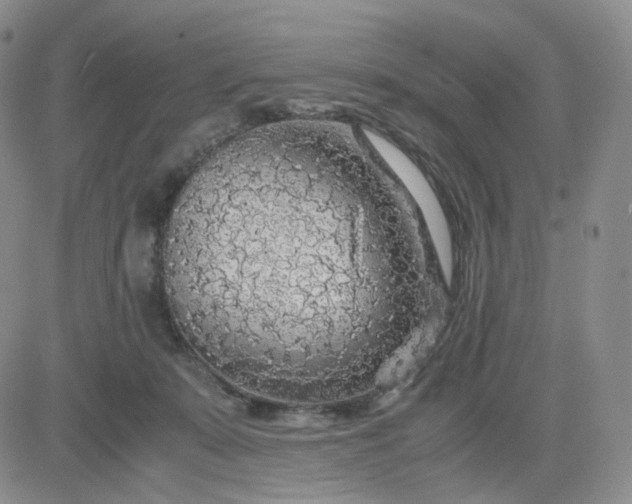 X0000083580319200702231702