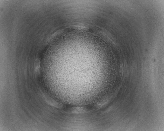 X0000083580320200702231702