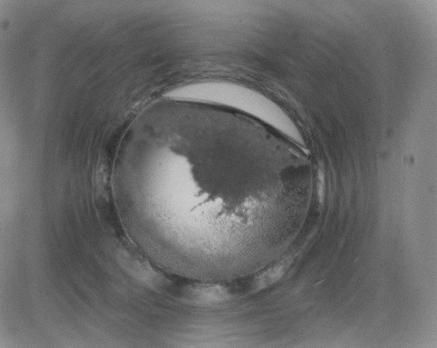 X0000083580322200702231702