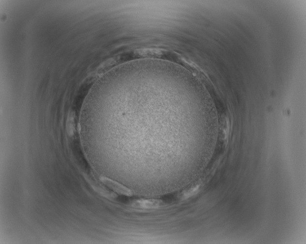 X0000083580323200702231702