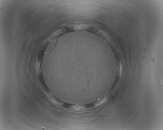 X0000083580327200702231702