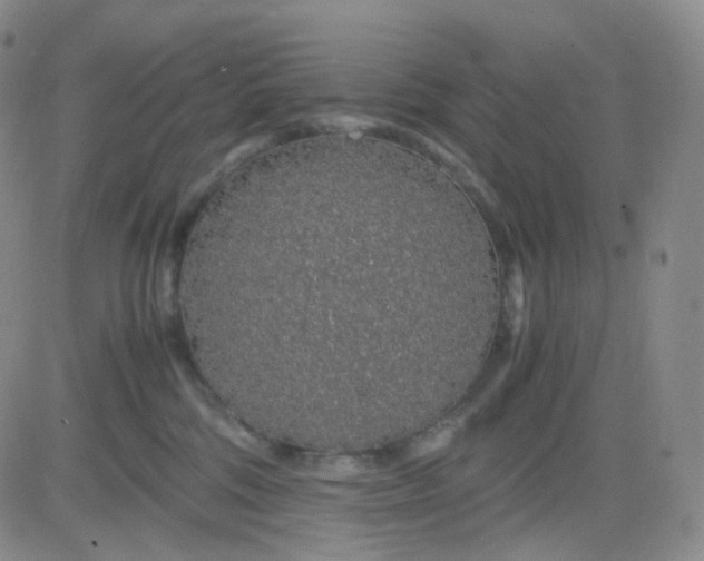 X0000083580330200702231701