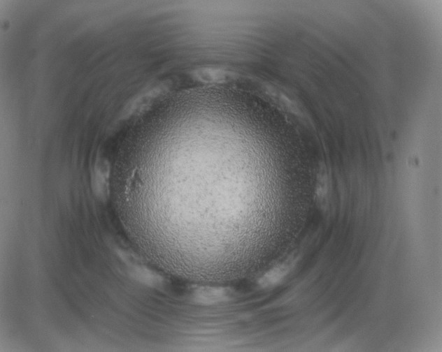 X0000083580332200702231701