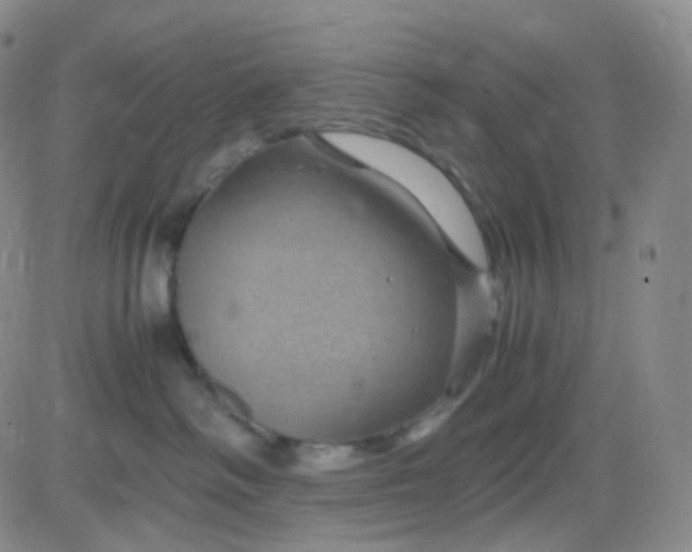 X0000083580334200702231701