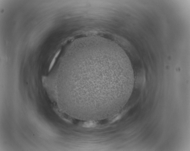 X0000083580335200702231701