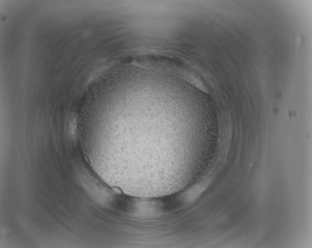 X0000083580336200702231701