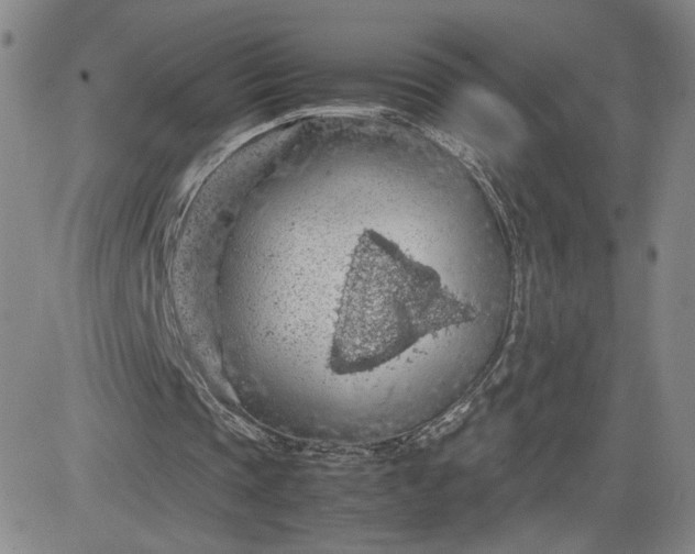 X0000083580337200702231701