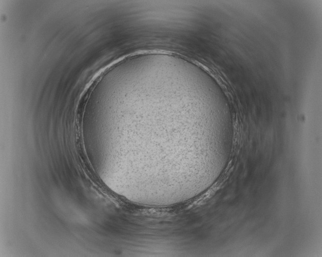 X0000083580338200702231701