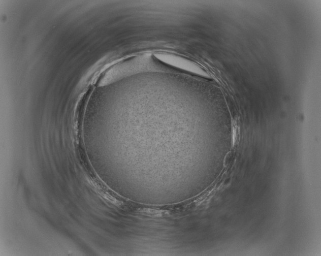 X0000083580339200702231701