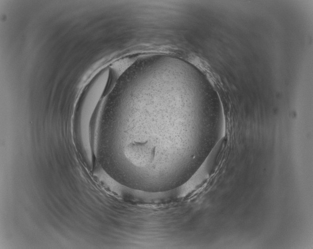 X0000083580340200702231701