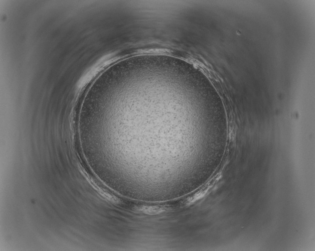 X0000083580341200702231701