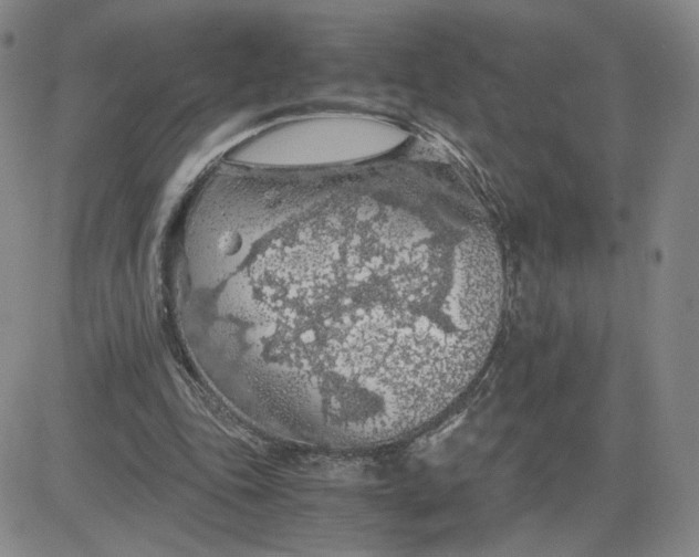 X0000083580343200702231701