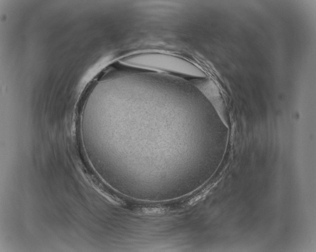 X0000083580344200702231701