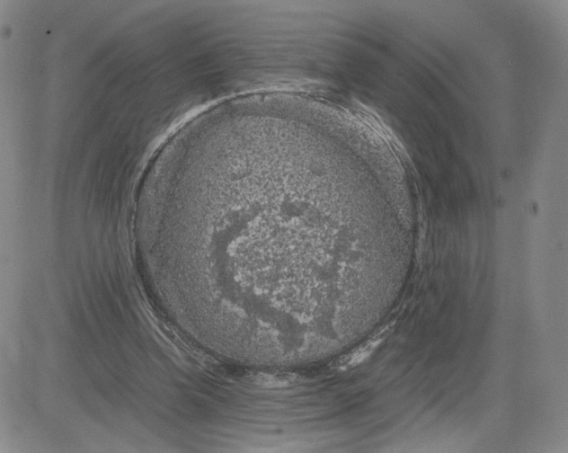 X0000083580346200702231701