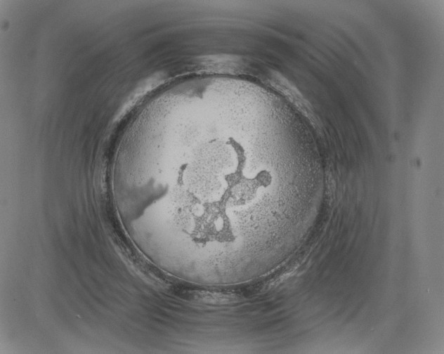 X0000083580347200702231701