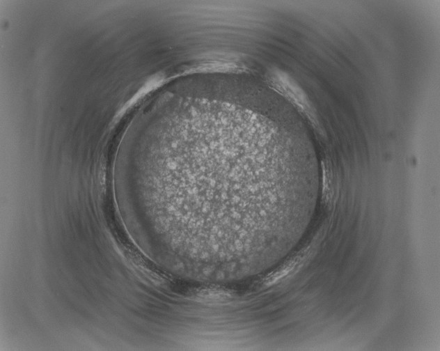 X0000083580348200702231701