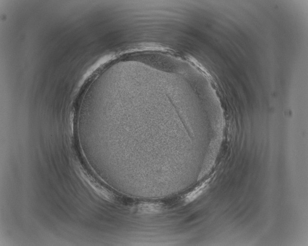 X0000083580350200702231701