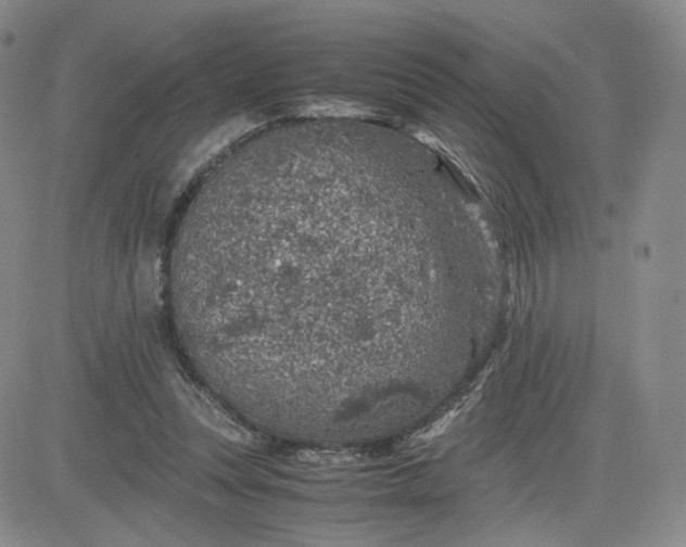 X0000083580351200702231701