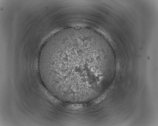 X0000083580353200702231701