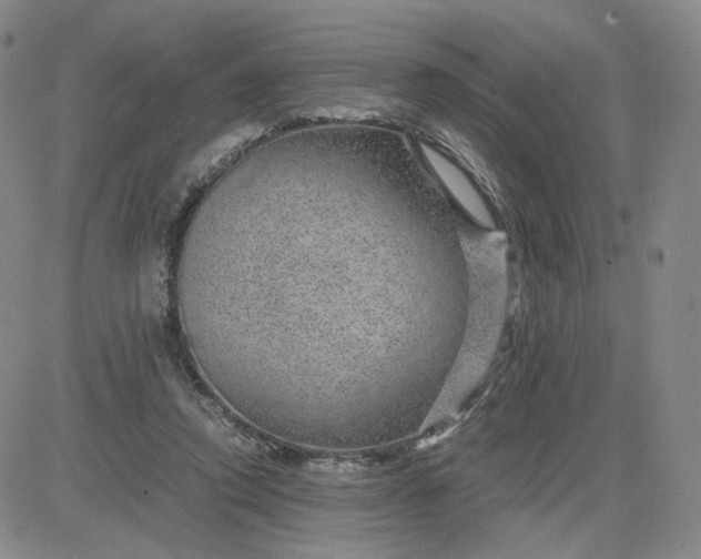 X0000083580354200702231701