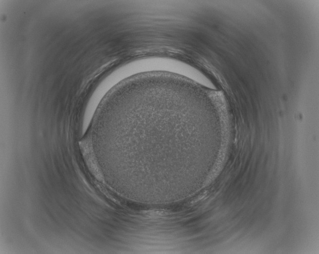 X0000083580356200702231701