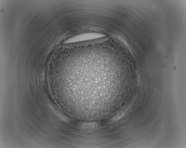 X0000083580357200702231701