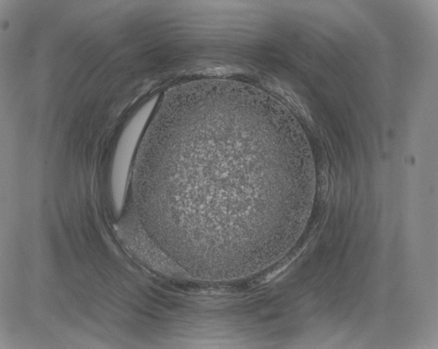 X0000083580358200702231701