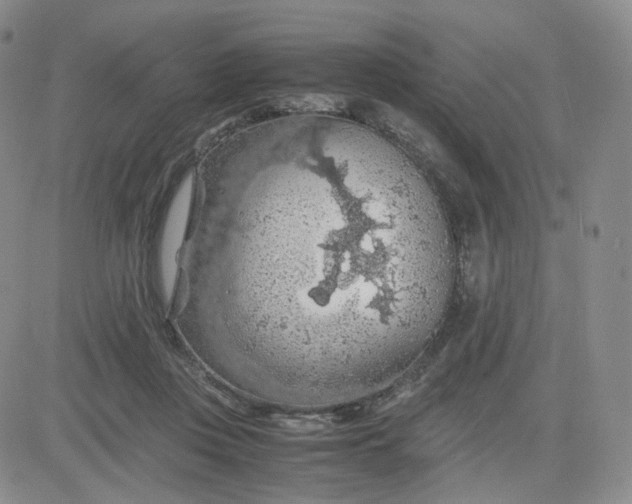 X0000083580359200702231701