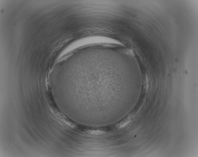 X0000083580360200702231701