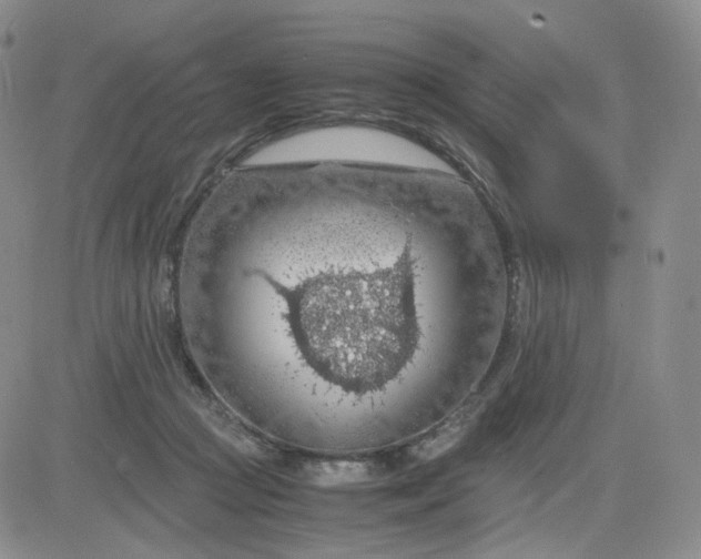 X0000083580361200702231701