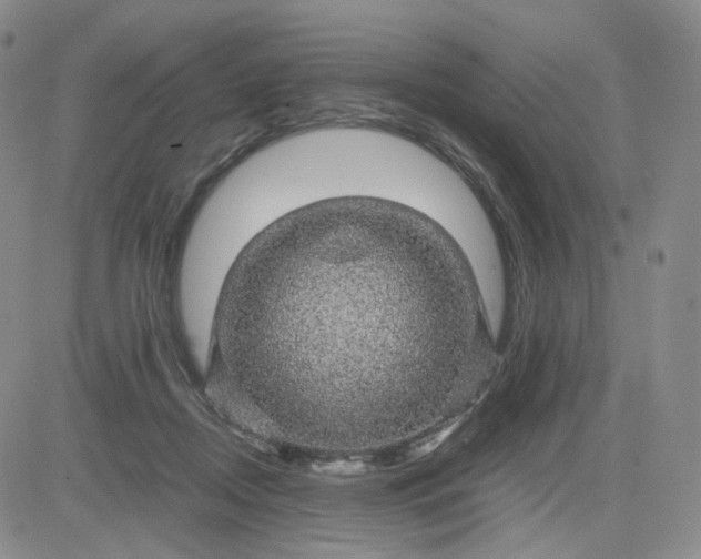 X0000083580362200702231701