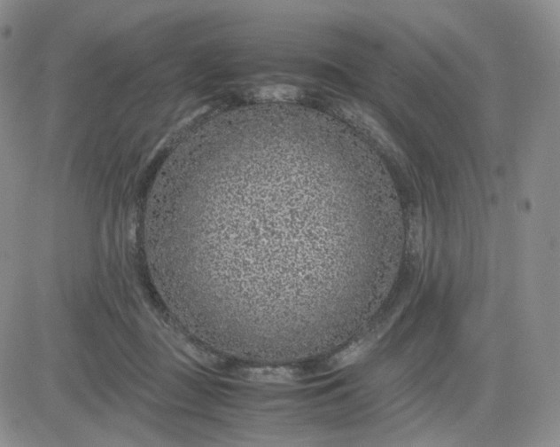 X0000083580363200702231701