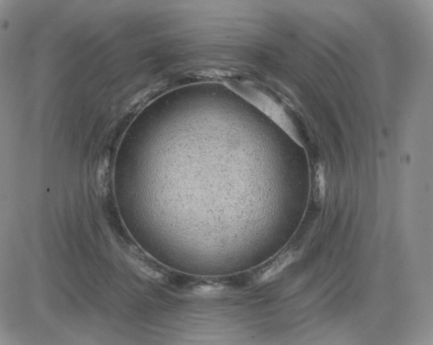 X0000083580364200702231701