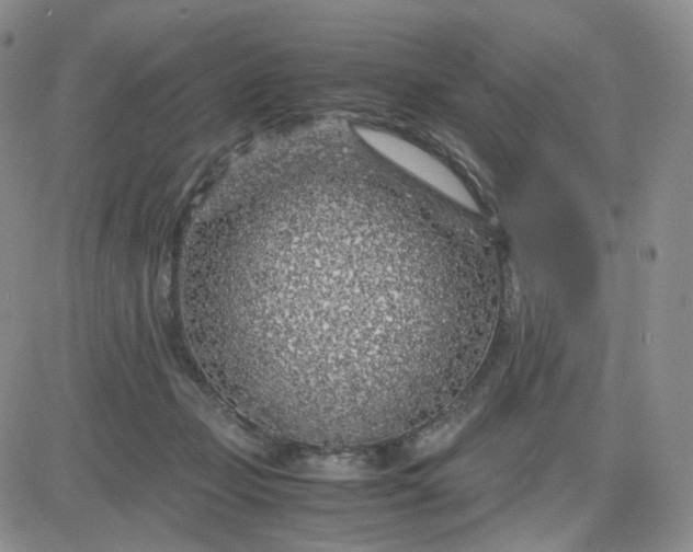 X0000083580365200702231701