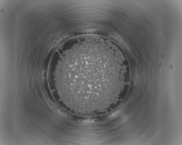 X0000083580366200702231701