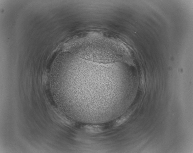 X0000083580367200702231701