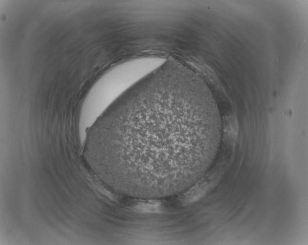 X0000083580369200702231701