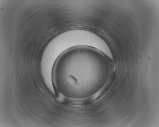 X0000083580370200702231701