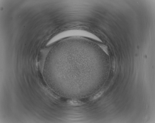 X0000083580372200702231701